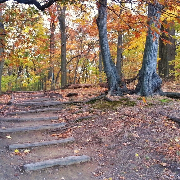 HALLπWEENπ§‘ Countdown! - Picture 4 of 16